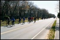 MA, Martha's Vineyard, Riders of the 50K Tour