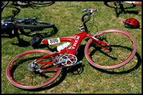 MA, Martha's Vineyard, Fancy Bike
