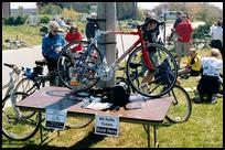 MA, Martha's Vineyard, Patriotic Bicycle