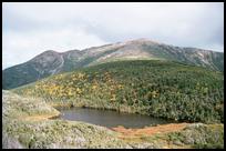 NH, White Mountains, Mt. Lafayette