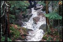 NH, Snow in Spring on Fishin' Jimmy Trail